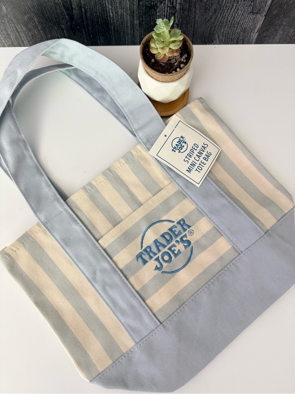 TRADER JOE’S Blue & Cream Mini Canvas Striped Tote Bag